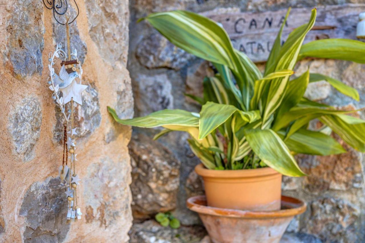 Casa Catalina Villa Sóller Dış mekan fotoğraf